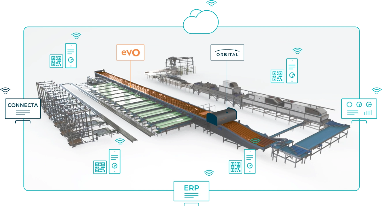 Solución llave en mano de Sienz que muestra varios productos para la clasificación de frutas y el procesamiento post-cosecha, incluyendo los sistemas eVO, Orbital, Connecta y ERP