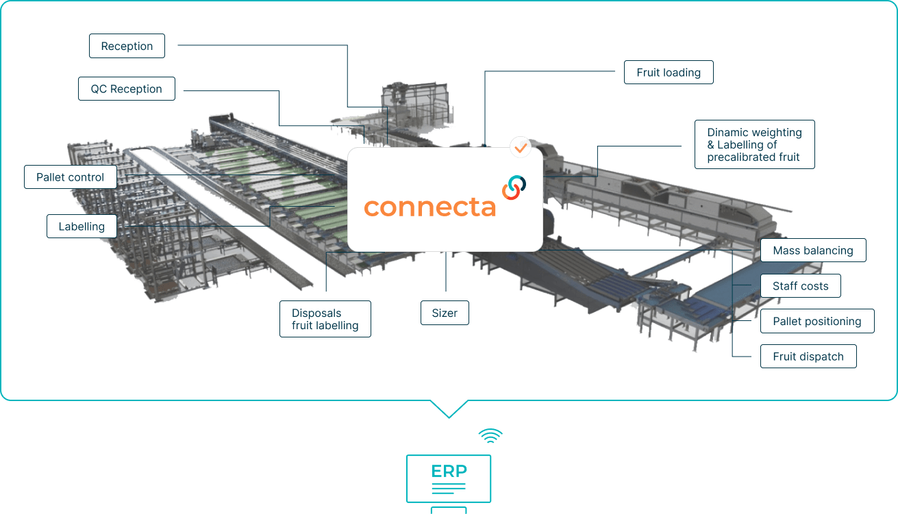 Connecta