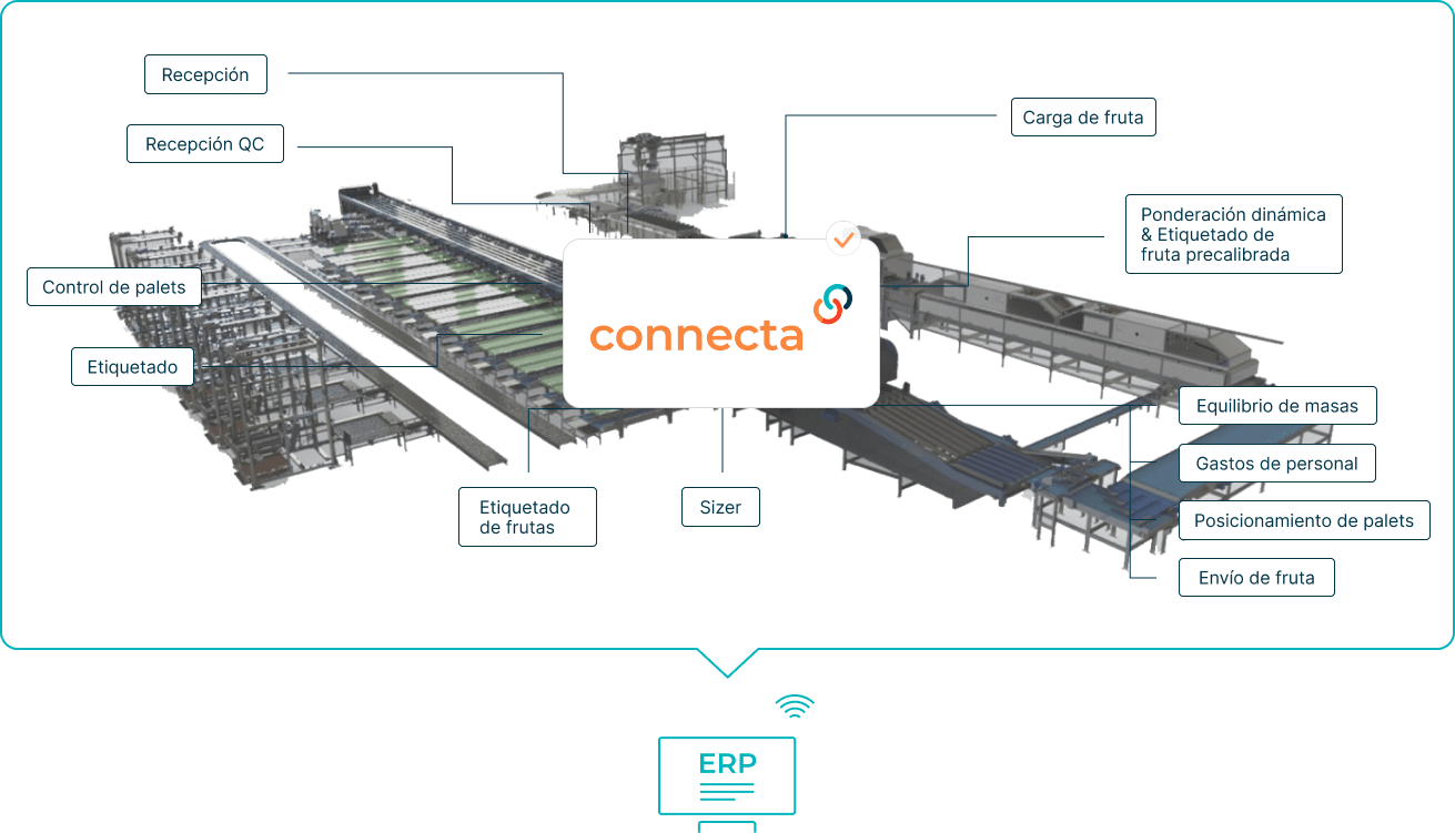 Connecta